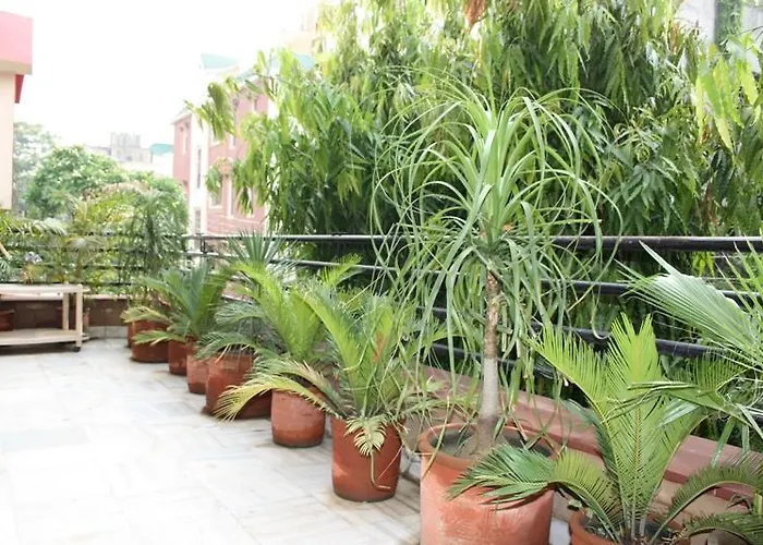 Jeraths Villa Bed And Breakfast Delhi 